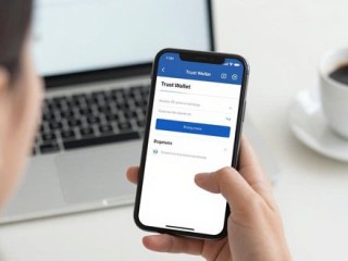 Trust Wallet下载体验如何？真实用户深度评测