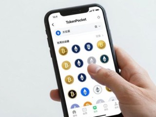 TokenPocket安卓版怎么用能提高交易速度