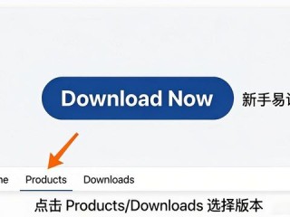 TP官网下载教程，3分钟搞定