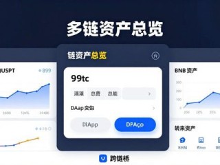 TokenPocket多链功能解析：一钱包管理所有链上资产
