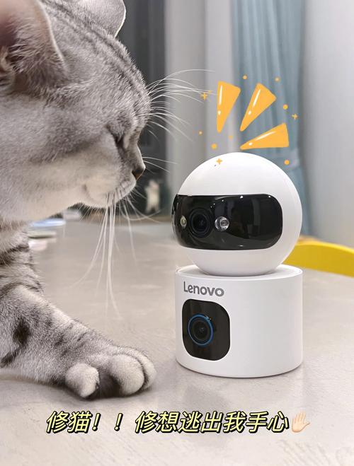 TP-Link摄像头如何帮助宠物主人?_摄像头宠物_宠物摄像头app