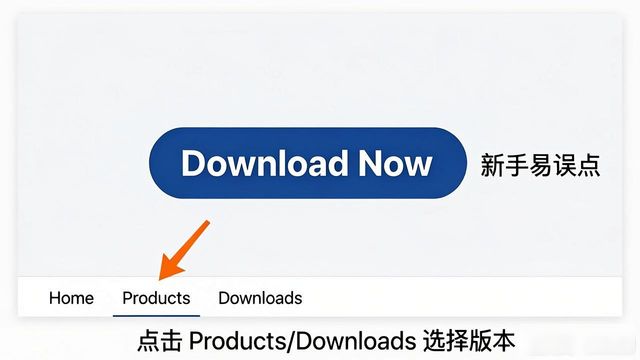 TP官网下载教程，3分钟搞定